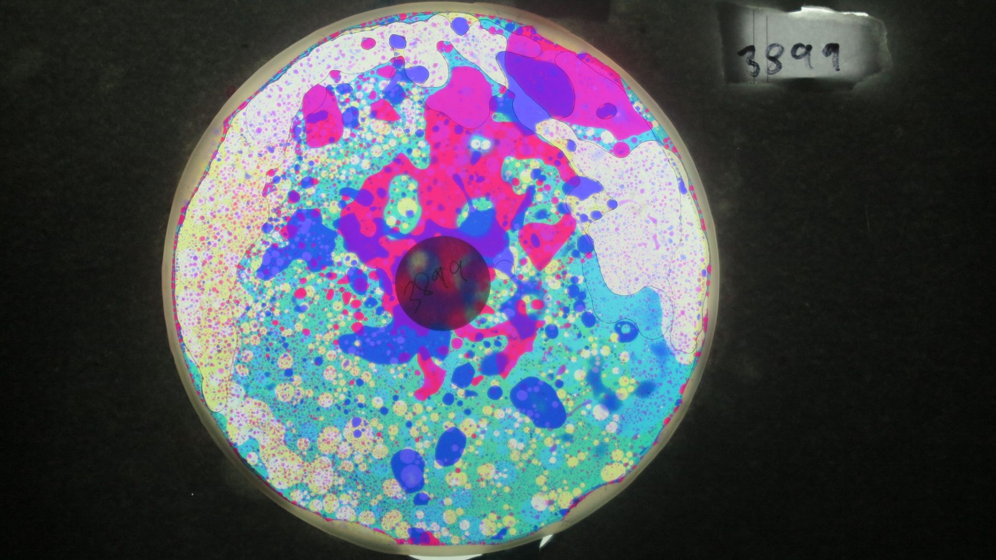 BV3899 bubble vision oil wheel1